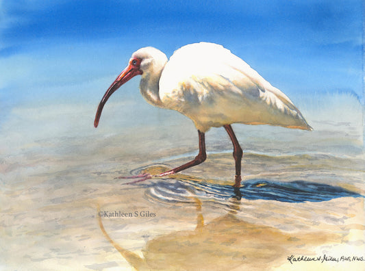 Original Watercolor Painting Ibis