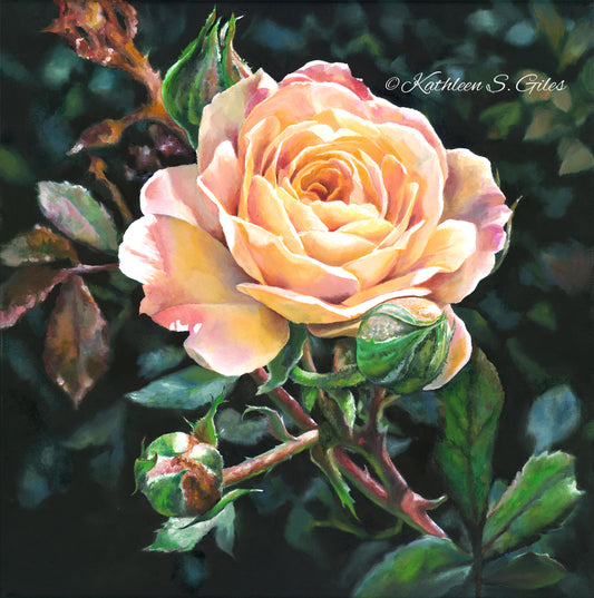 Original Oil Painting Rose From My Garden