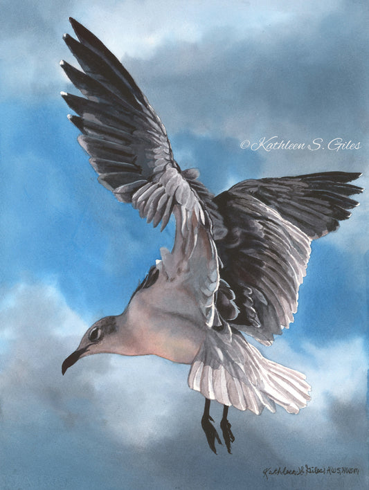 Original Watercolor Painting Seagull in Grays