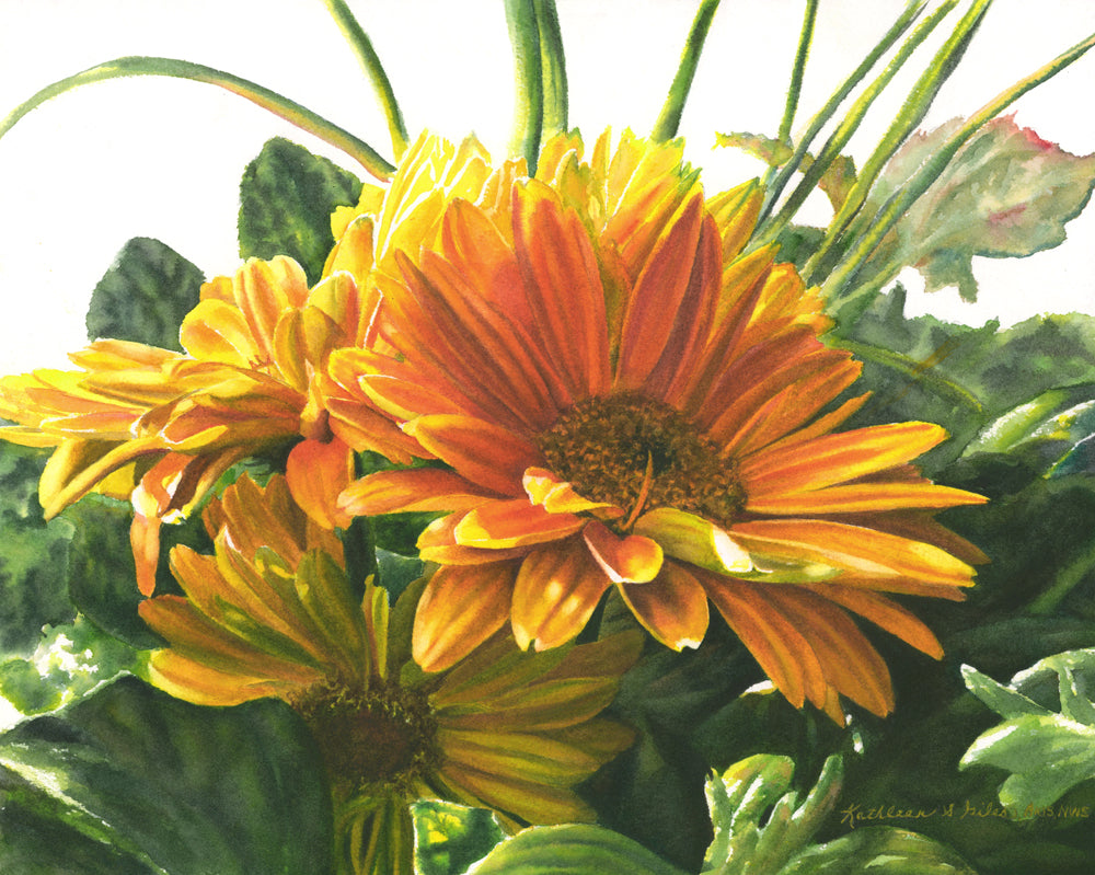 Original Watercolor Painting of Yellow Gerber Daisy