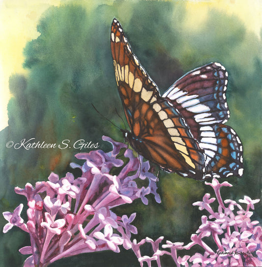 Original Watercolor Painting Butterfly Bush