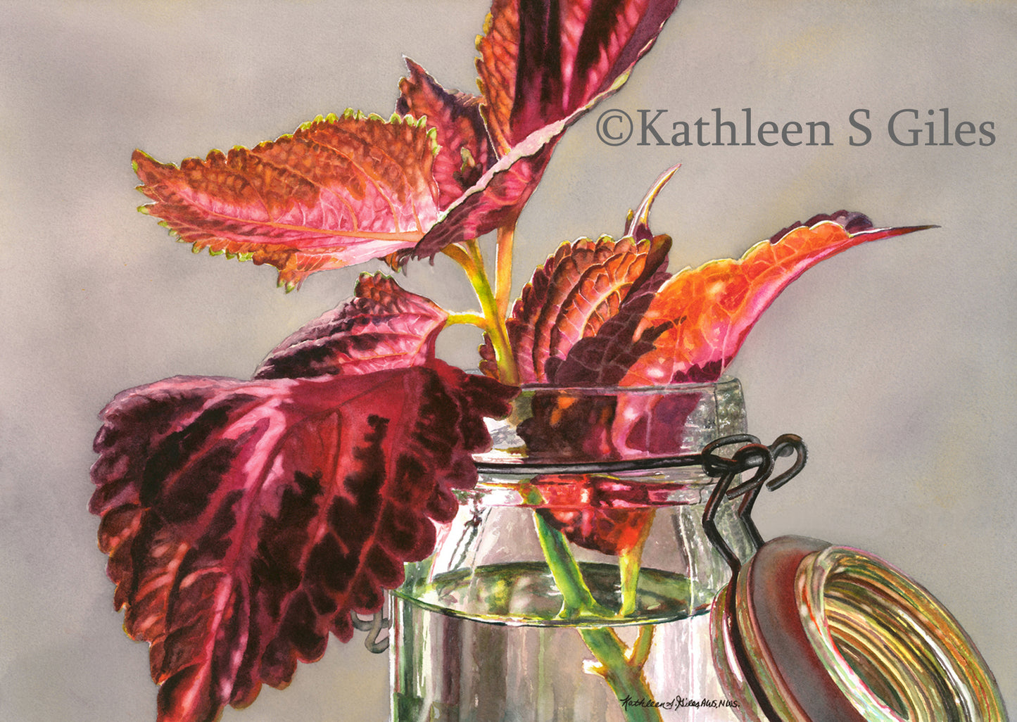 Original Watercolor Painting Coleus in a Jar