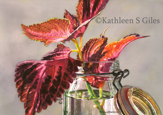 Original Watercolor Painting Coleus in a Jar