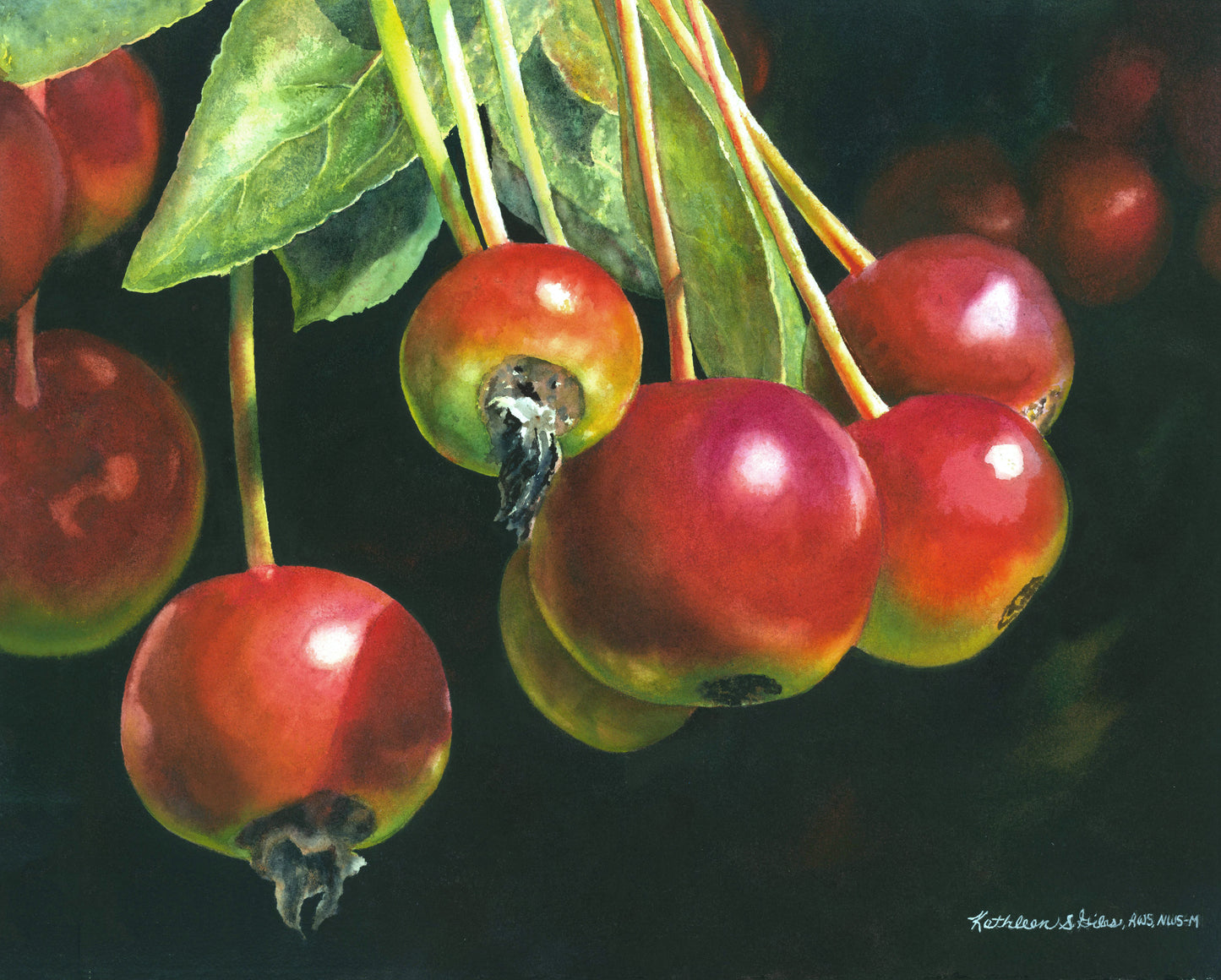 Original Watercolor Painting Cluster of Crab Apples