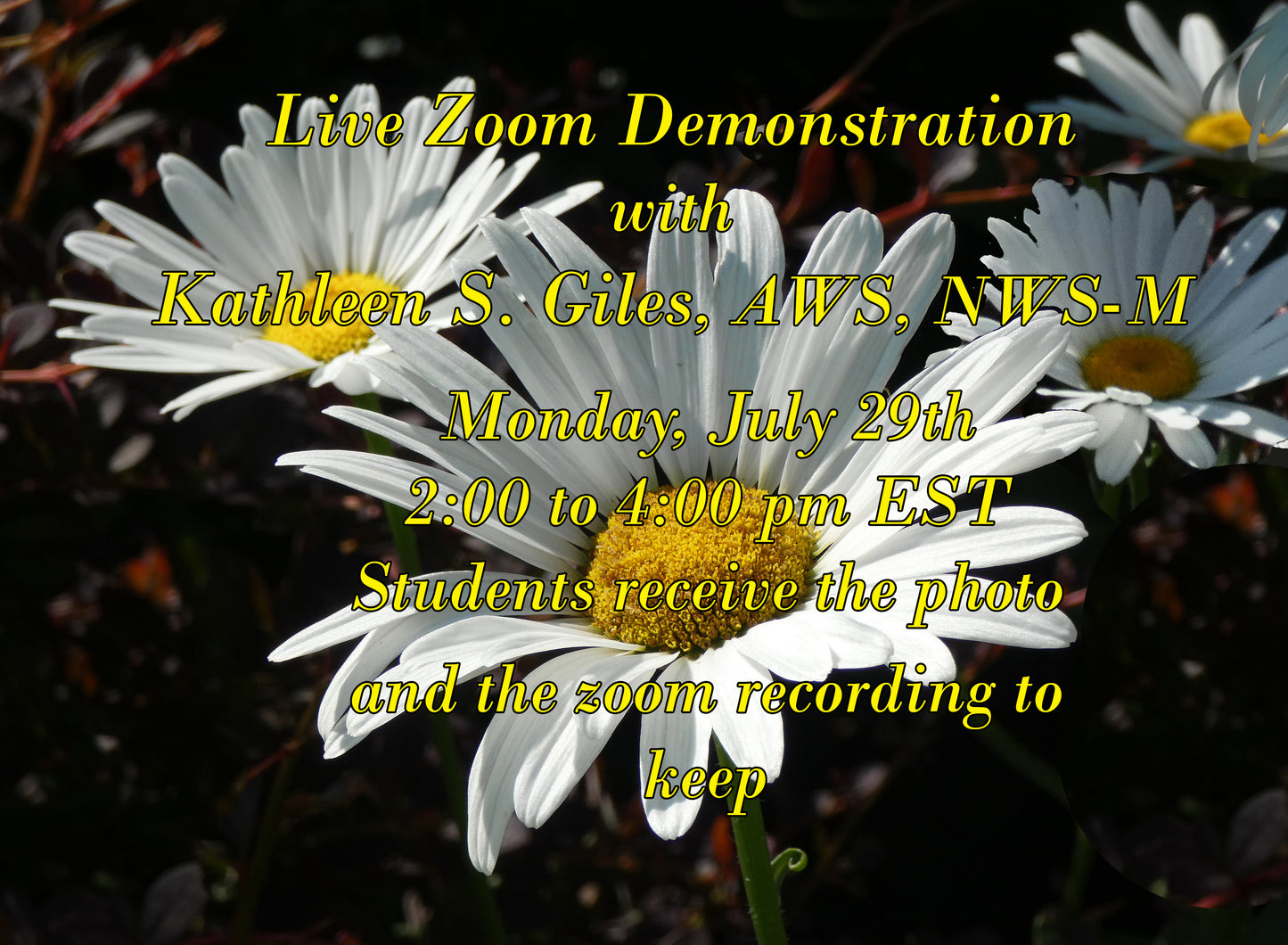 Live Zoom Demonstration~ Painting Daisies